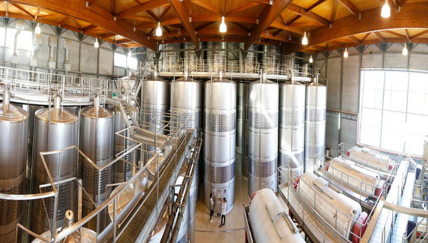 Visita a la bodega Viña Costeira - Photo 3