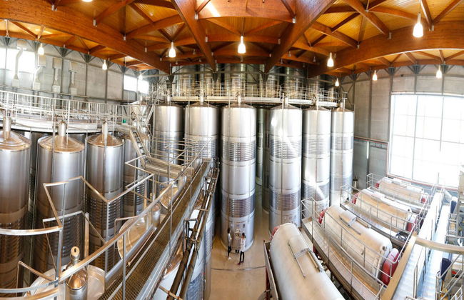 Visita a la bodega Viña Costeira - Foto 3