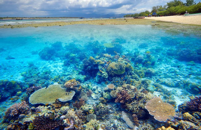 Excursion privée à Gili Meno et à Gili Trawangan en bateau - Photo 4