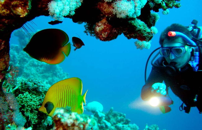 Immersione per principianti a Gran Canaria - Foto 1