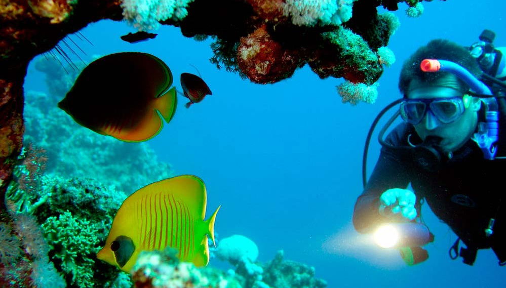 Bautismo de buceo en Gran Canaria - Foto 1