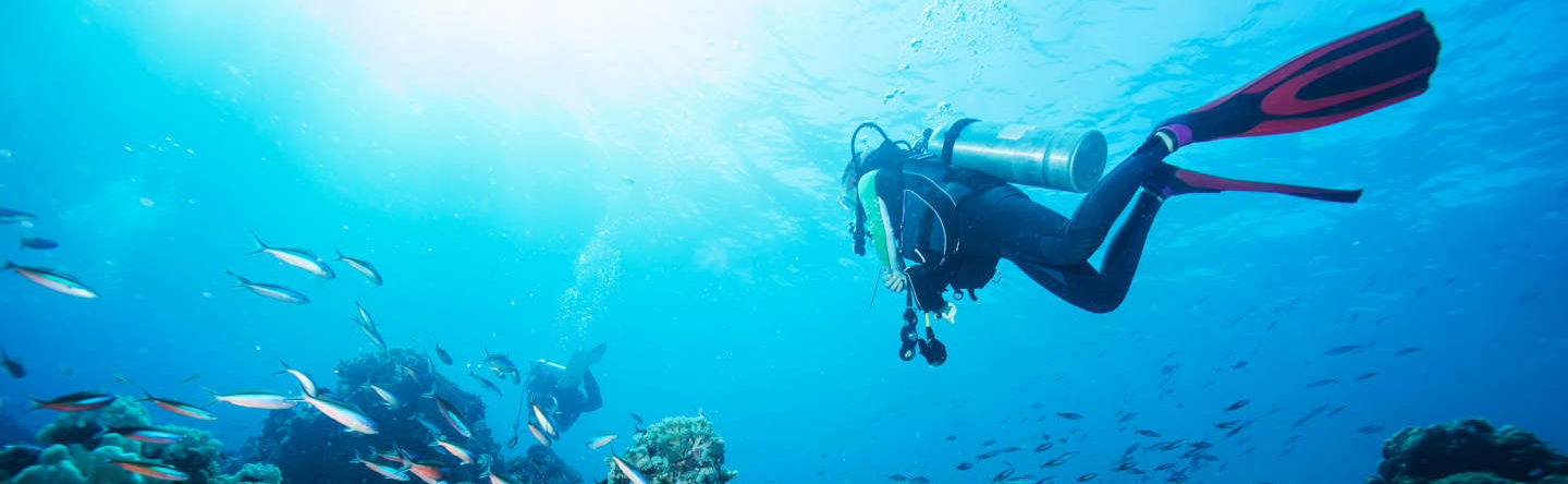 Scuba Diving on Isla del Caño - Photo 1