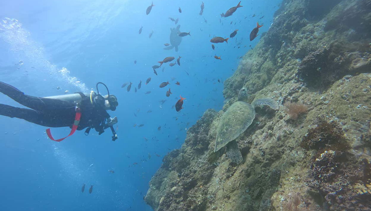 Buceo en la Isla del Caño - Foto 1