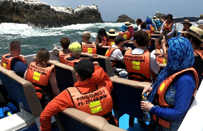 Paseo en lancha rápida por las Islas Palomino + Nado con lobos marinos - Foto 5