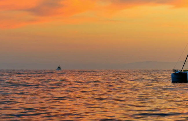 Paseo en catamarán al atardecer - Foto 8