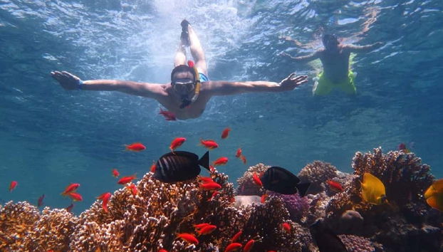 Orange Bay Snorkel Tour - Photo 5