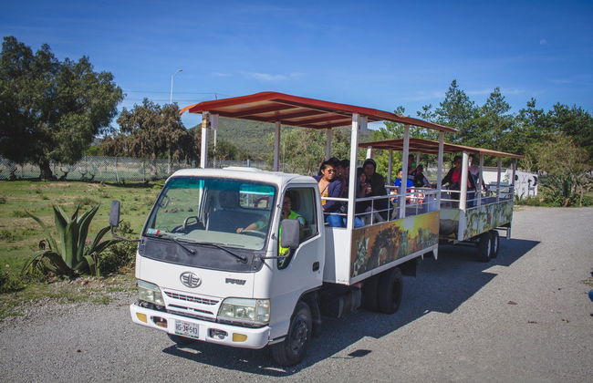 Excursion à Mundo Fútbol et Tuzoofari - Photo 7