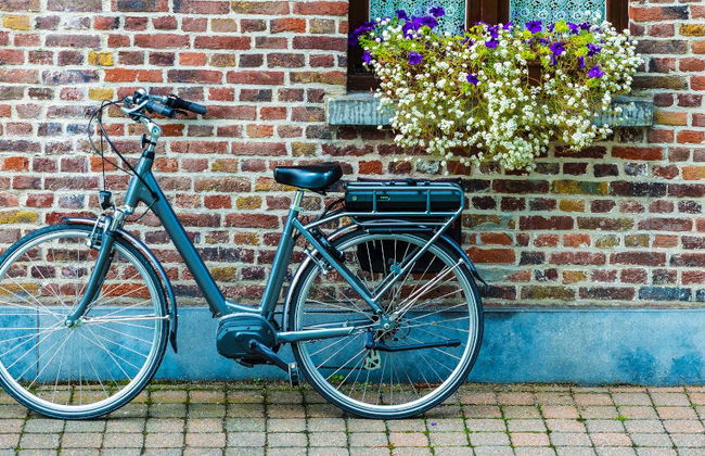 Electric Bike Tour - Foto 6
