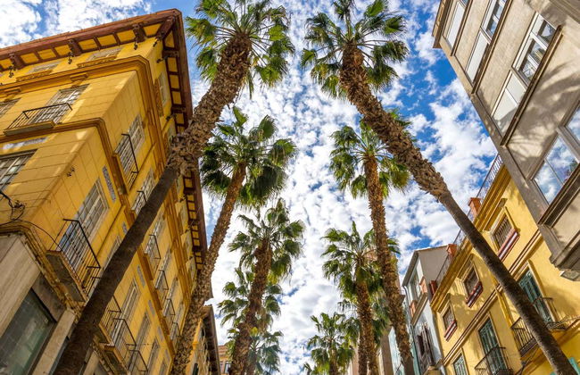 Private Tuk-Tuk Tour of Málaga - Photo 6