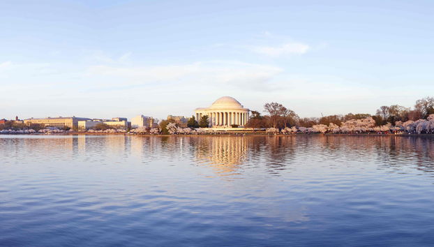 Déjeuner-croisière à Washington - Photo 5