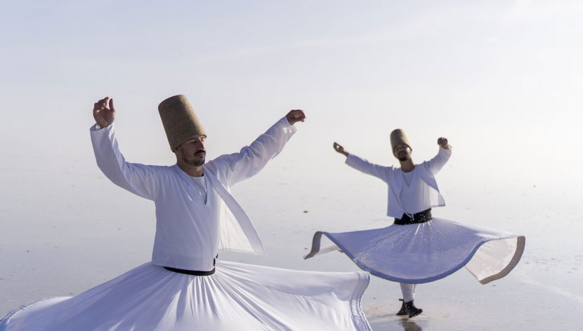 Whirling Dirvish Show - Photo 2