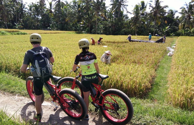 Balade à vélo électrique dans les rizières - Photo 1