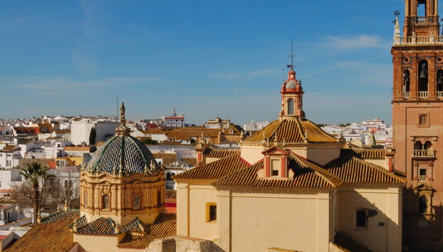 Excursion à Carmona - Photo 4