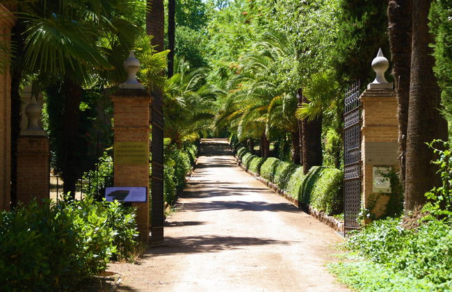Tour por los cármenes de Granada - Foto 7