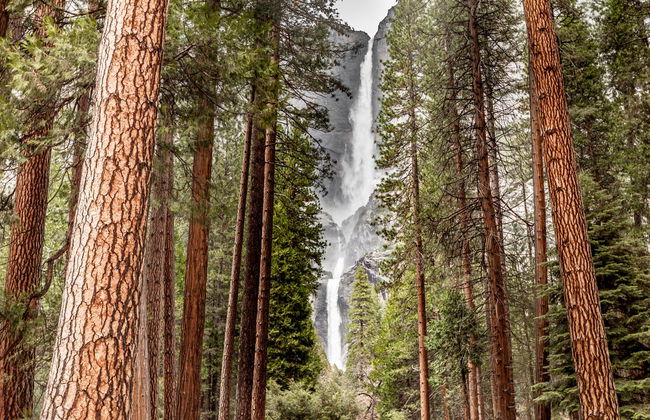 Tour de 4 ou 6 dias de São Francisco a Las Vegas finalizando em Los Angeles - Foto 6