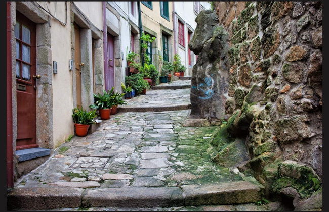 Tour por el Oporto medieval y la Ribeira - Foto 3