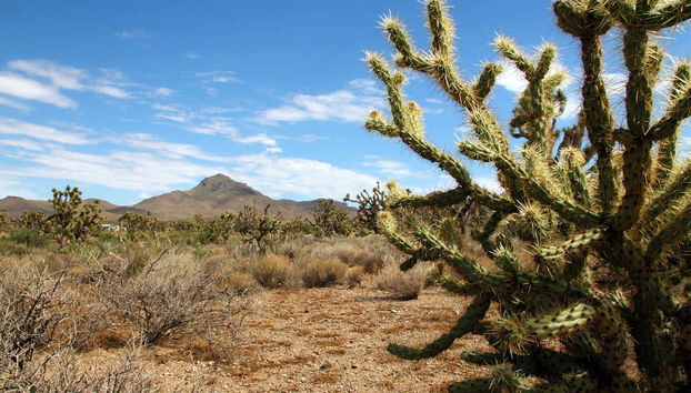 Excursão privada ao Grand Canyon - Foto 5