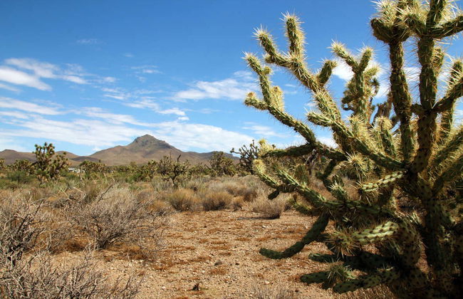 Excursão privada ao Grand Canyon - Foto 5