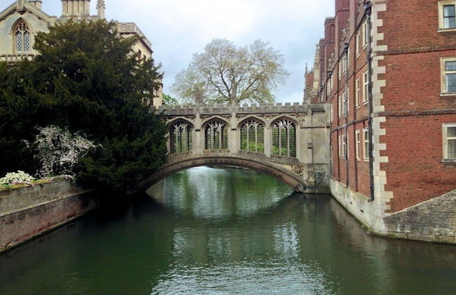 Excursão a Oxford e Cambridge - Foto 2