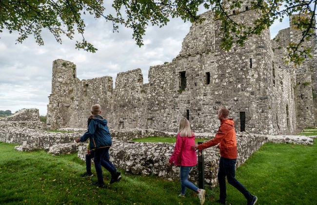 Celtic Boyne Valley & Ancient Sites Tour - Photo 1