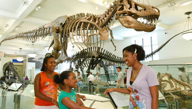 New York Explorer Pass : jusqu'à 10 attractions en 30 jours - Photo 5