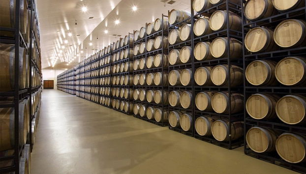 Visite privée du vignoble Bodegas Museum - Photo 2