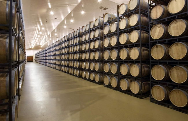 Visite privée du vignoble Bodegas Museum - Photo 2