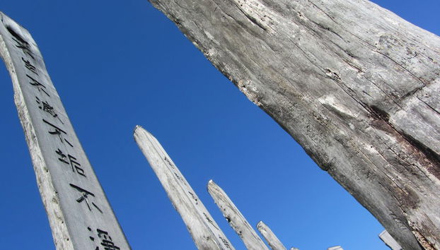 Hong Kong Layover Tour - Photo 4