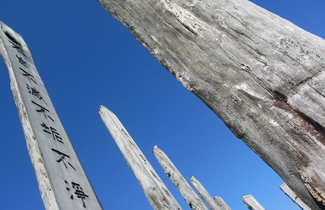 Hong Kong Layover Tour - Foto 4