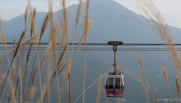 Hong Kong Layover Tour - Photo 3