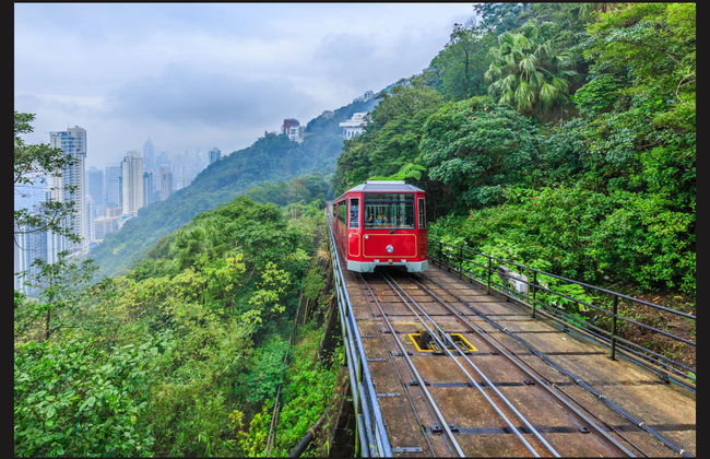 Hong Kong Layover Tour - Photo 2