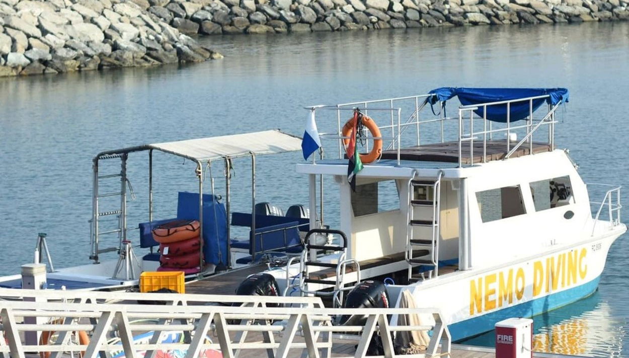 Snorkeling a Dibba Al-Fujairah - Foto 1