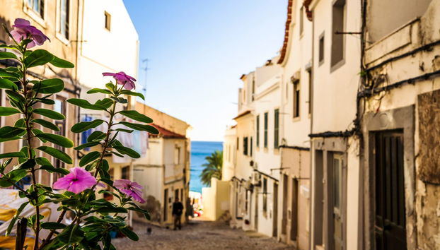 Visita a dos bodegas de Arrábida + Fábrica de azulejos - Foto 2