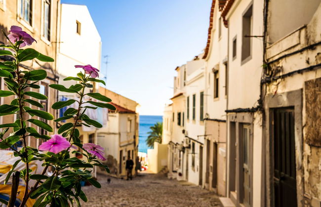 Visita a dos bodegas de Arrábida + Fábrica de azulejos - Foto 2