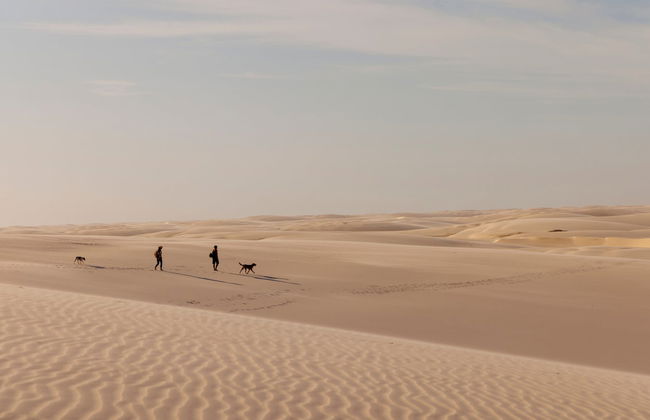 Tour al atardecer por las dunas de los Lençóis Maranhenses - Foto 6