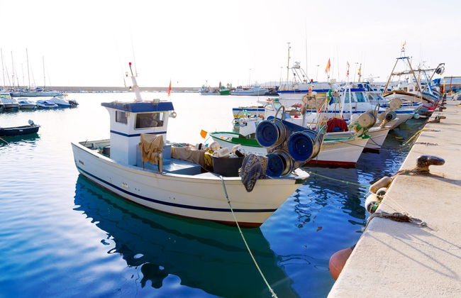 Port of Xàbia Free Tour - Photo 1