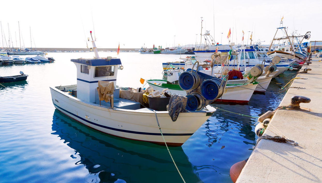 Port of Xàbia Free Tour - Foto 1