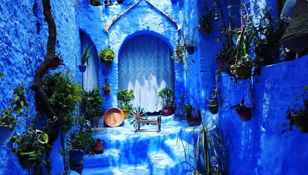 Visita guiada por Chefchaouen - Foto 4