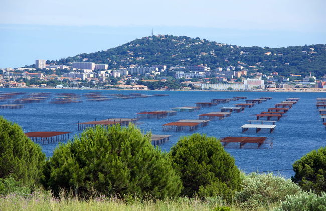 Excursion à l'Étang de Thau avec dégustation d'huître + Balade en bateau - Photo 3
