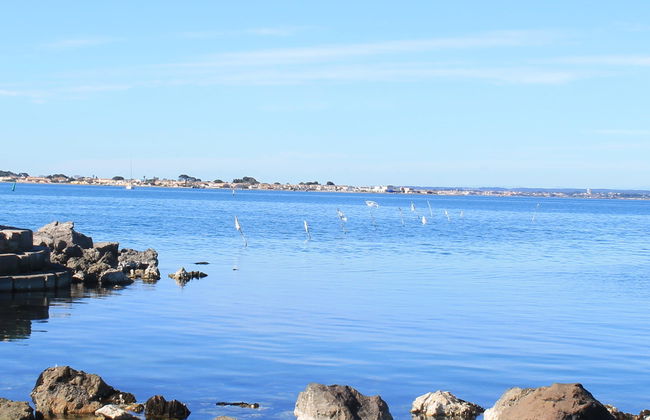 Excursion à l'Étang de Thau avec dégustation d'huître + Balade en bateau - Photo 9