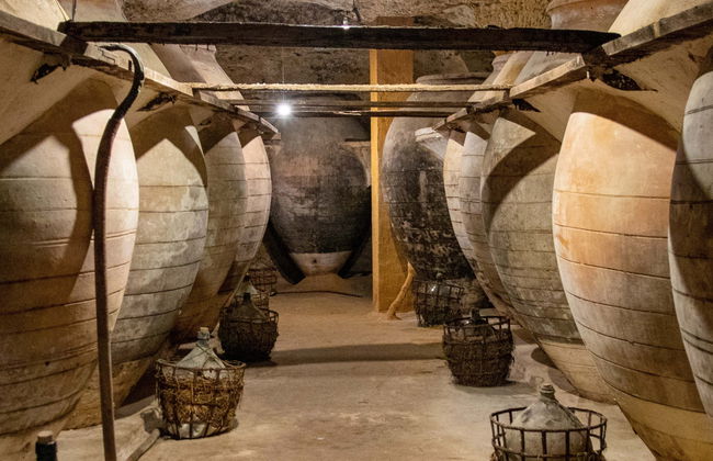 Visita às caves-adega de Tomelloso - Foto 6