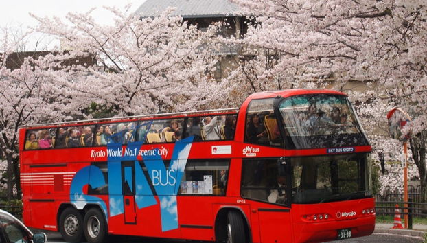 Autobus turistico di Kyoto - Foto 3