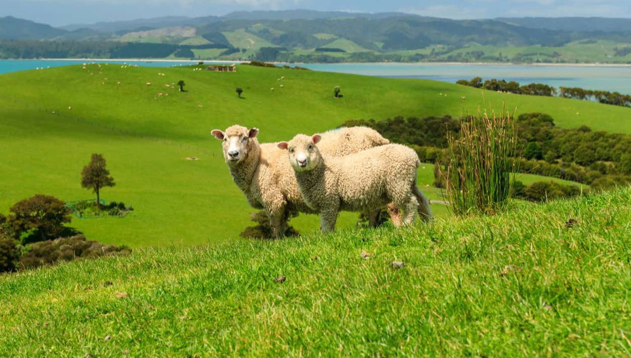 Duder Regional Park Hiking Tour - Foto 1