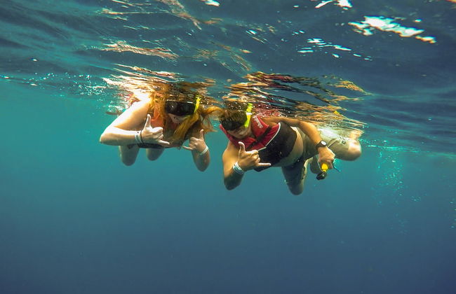 Nager avec des requins-baleines à Isla Mujeres - Photo 5