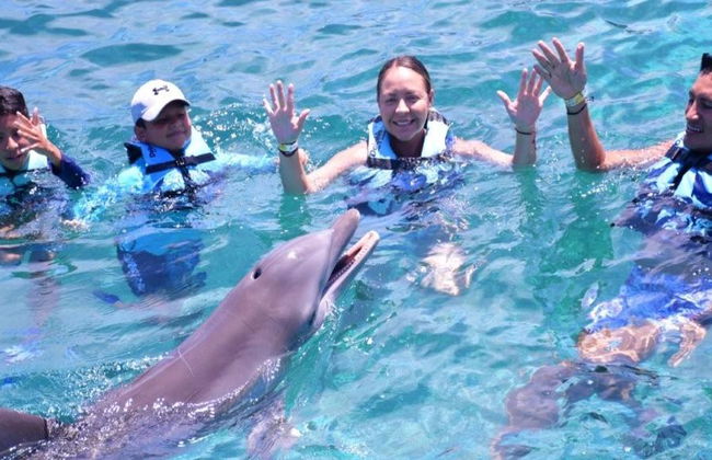 Nado Aventura con delfines en Maroma Beach - Foto 4