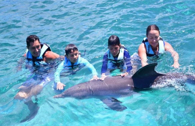 Nado Aventura con delfines en Maroma Beach - Foto 6