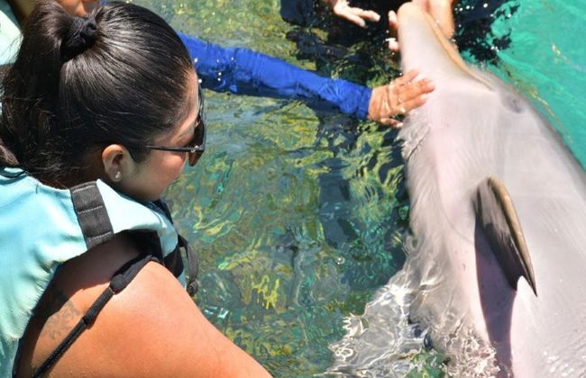 Nado Aventura con delfines en Maroma Beach - Foto 7