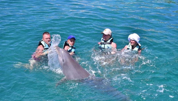 Dolphin Swim Adventure in Chankanaab Park - Photo 5