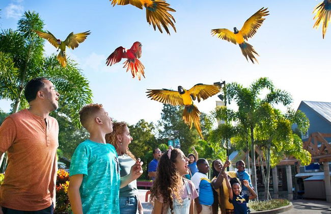 Tampa Bay CityPASS® - Acceso a 5 atracciones - Foto 6