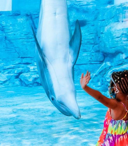 Foto de Tampa Bay CityPASS® - Access to 5 Attractions